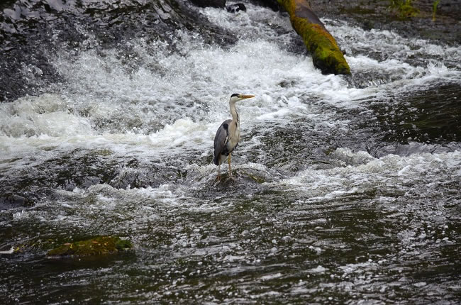 "The site is even split by a tranquil flowing river"