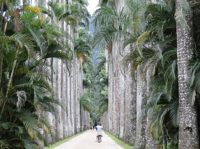 The Botanical Gardens